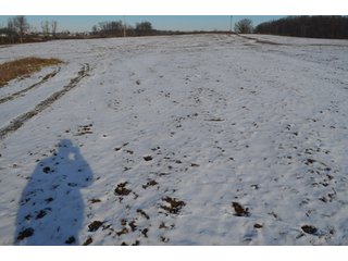54.7 Acres with 50 tillable and 4.3 wooded.  Surrounded by heavy deer population on CRP land.  Great trophy deer hunting on established food plots.  Hunting tower.

Receive income on tillable acres while abundance of deer hunting on established food plot. - Great Investment Opportunity - Tillable Land, Recreation & Building Site